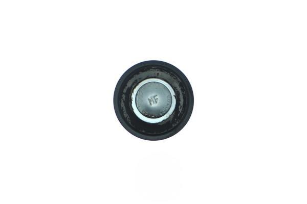 Rotule de suspension (Rotule de pivot) AISIN JBJNI-005